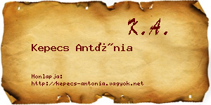 Kepecs Antónia névjegykártya